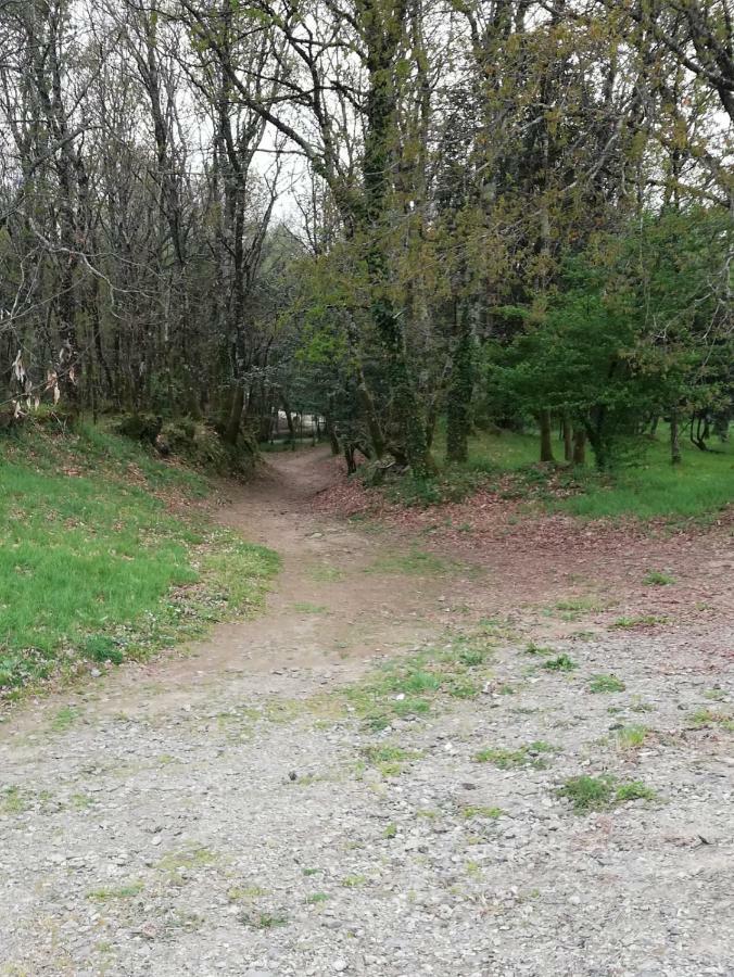 Apartamento Sigueeiro Camino Ingles Sigueiro Dış mekan fotoğraf