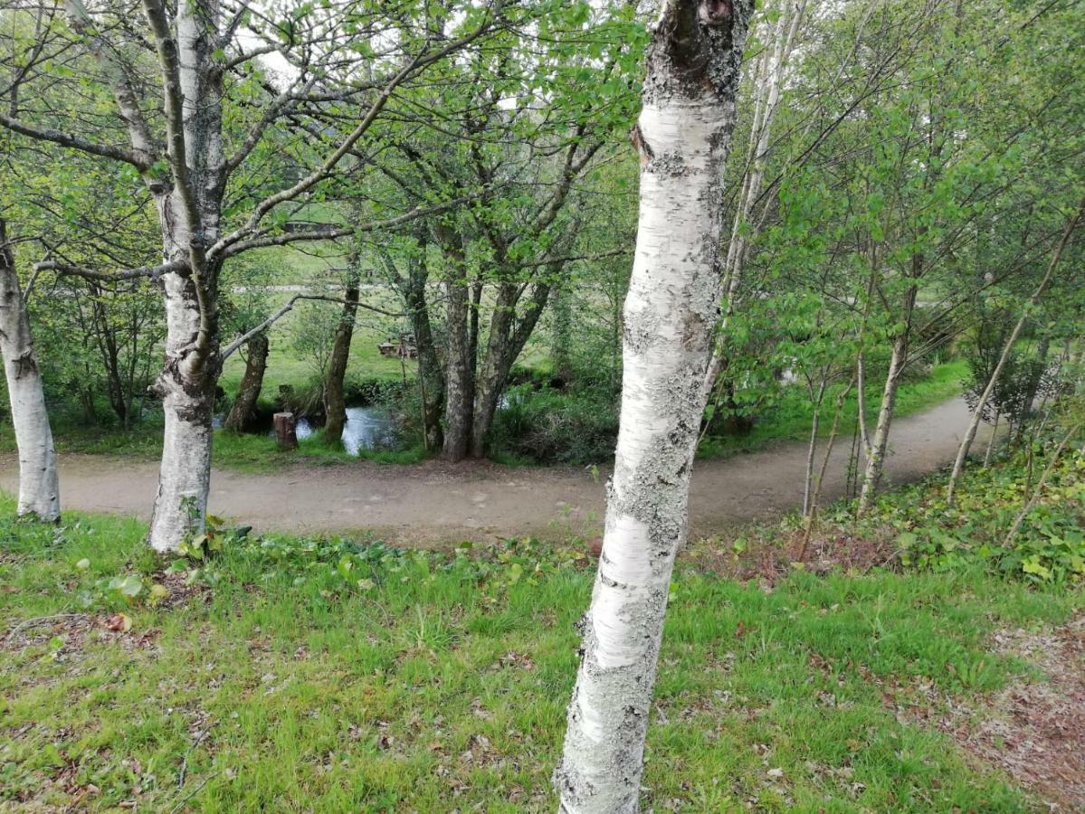 Apartamento Sigueeiro Camino Ingles Sigueiro Dış mekan fotoğraf