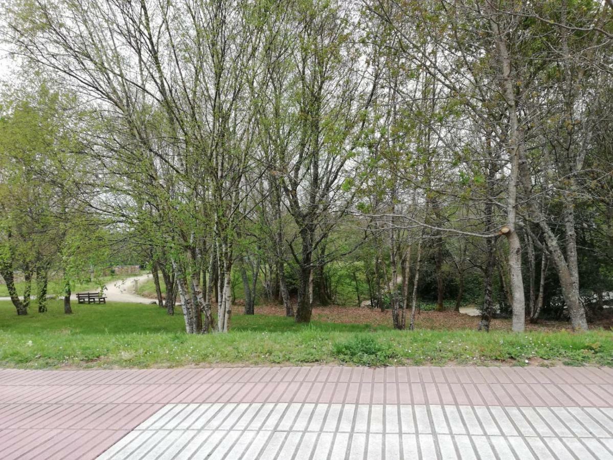 Apartamento Sigueeiro Camino Ingles Sigueiro Dış mekan fotoğraf