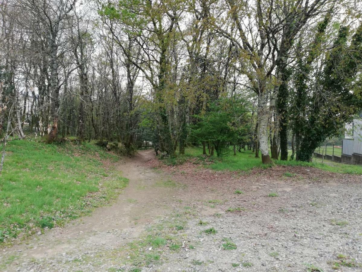 Apartamento Sigueeiro Camino Ingles Sigueiro Dış mekan fotoğraf